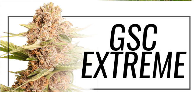 GSC Extreme