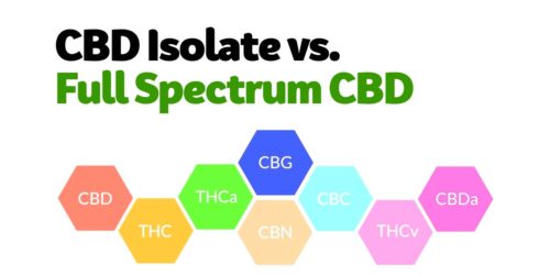 Being able to sell products online and ship them nationwide is a game changer, and it allows for plant-based remedies to quickly and easily reach those who need it most. And there is also breaking new grounds in the scientific community as they were the first to release products with lesser-known compounds of the plant including; THCa, CBN, and CBC.