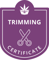 Cannabis Trimming Certificate