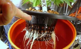 Types of Hydroponic Grow Systems​