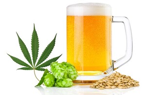CBD Mixology in Adult Beverages