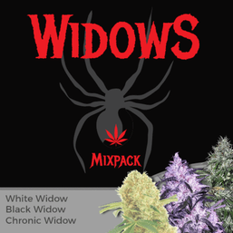 White Widow, Chronic Widow and Black Widow, Widows Mix Pack